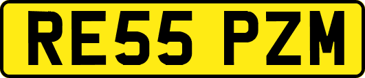 RE55PZM