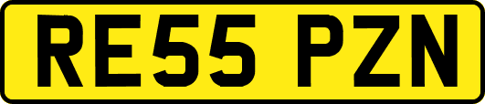 RE55PZN