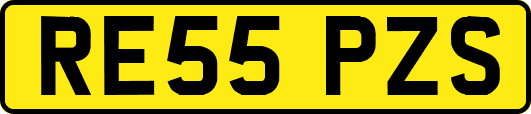 RE55PZS