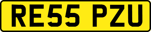 RE55PZU