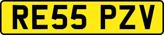 RE55PZV