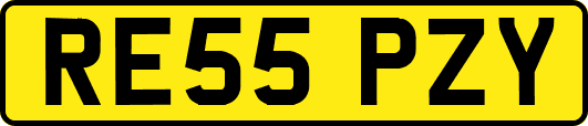 RE55PZY