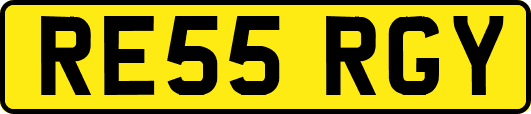 RE55RGY