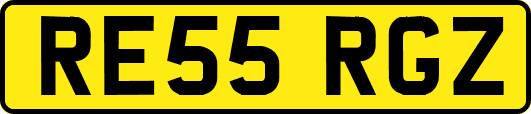 RE55RGZ