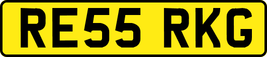 RE55RKG