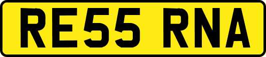 RE55RNA