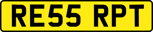 RE55RPT