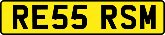 RE55RSM
