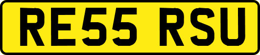 RE55RSU