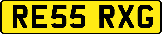 RE55RXG