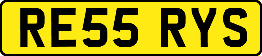 RE55RYS
