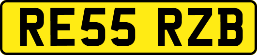 RE55RZB