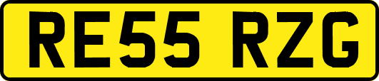 RE55RZG