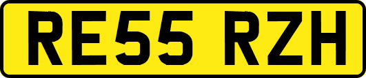 RE55RZH