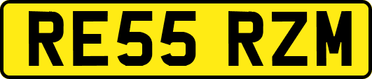 RE55RZM