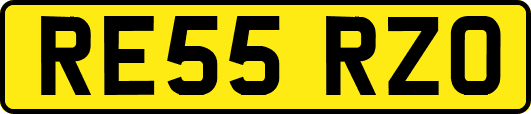 RE55RZO