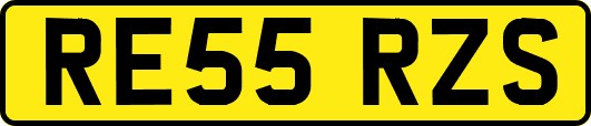 RE55RZS