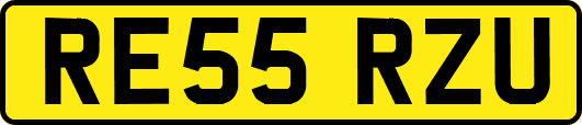 RE55RZU