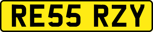 RE55RZY