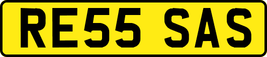 RE55SAS