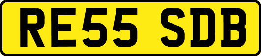 RE55SDB