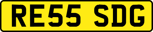 RE55SDG