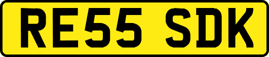 RE55SDK