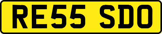 RE55SDO