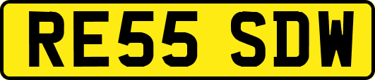 RE55SDW