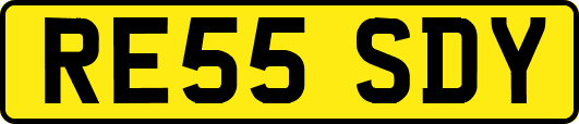RE55SDY