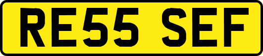 RE55SEF