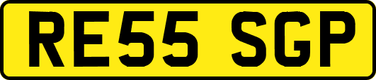RE55SGP