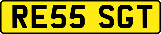 RE55SGT