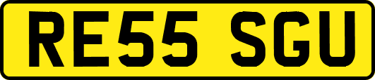RE55SGU