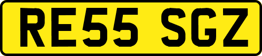 RE55SGZ