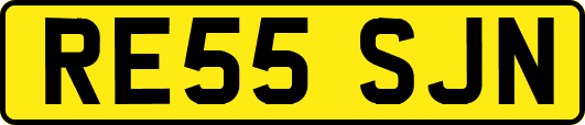 RE55SJN