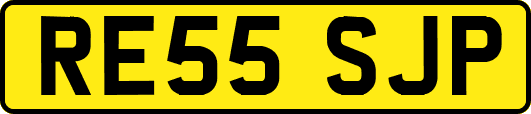 RE55SJP
