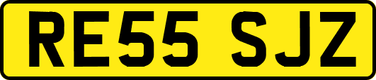 RE55SJZ