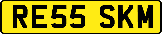 RE55SKM
