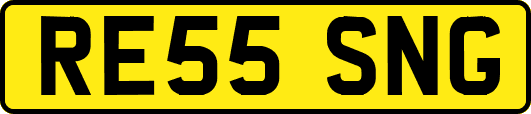 RE55SNG