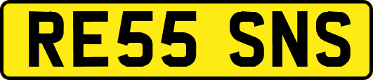 RE55SNS