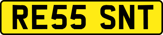 RE55SNT