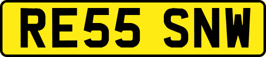 RE55SNW