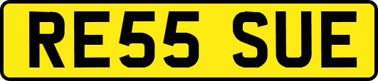 RE55SUE