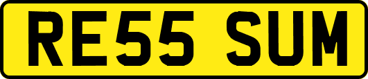 RE55SUM