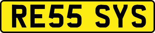 RE55SYS