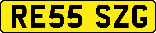 RE55SZG