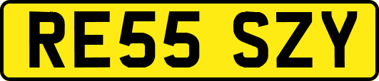 RE55SZY