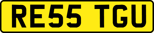 RE55TGU