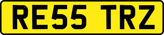 RE55TRZ